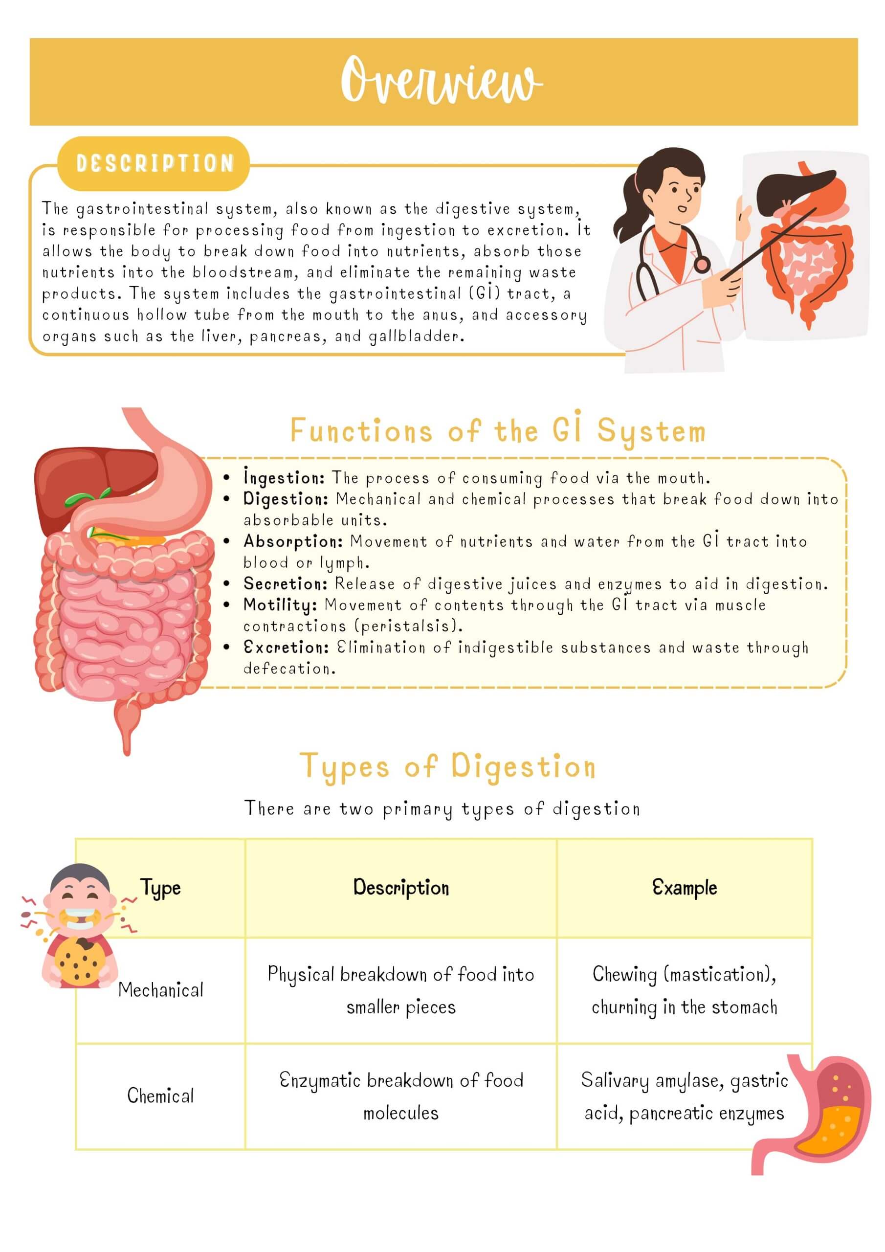 Medical–Surgical Systems Bundle - Image 13