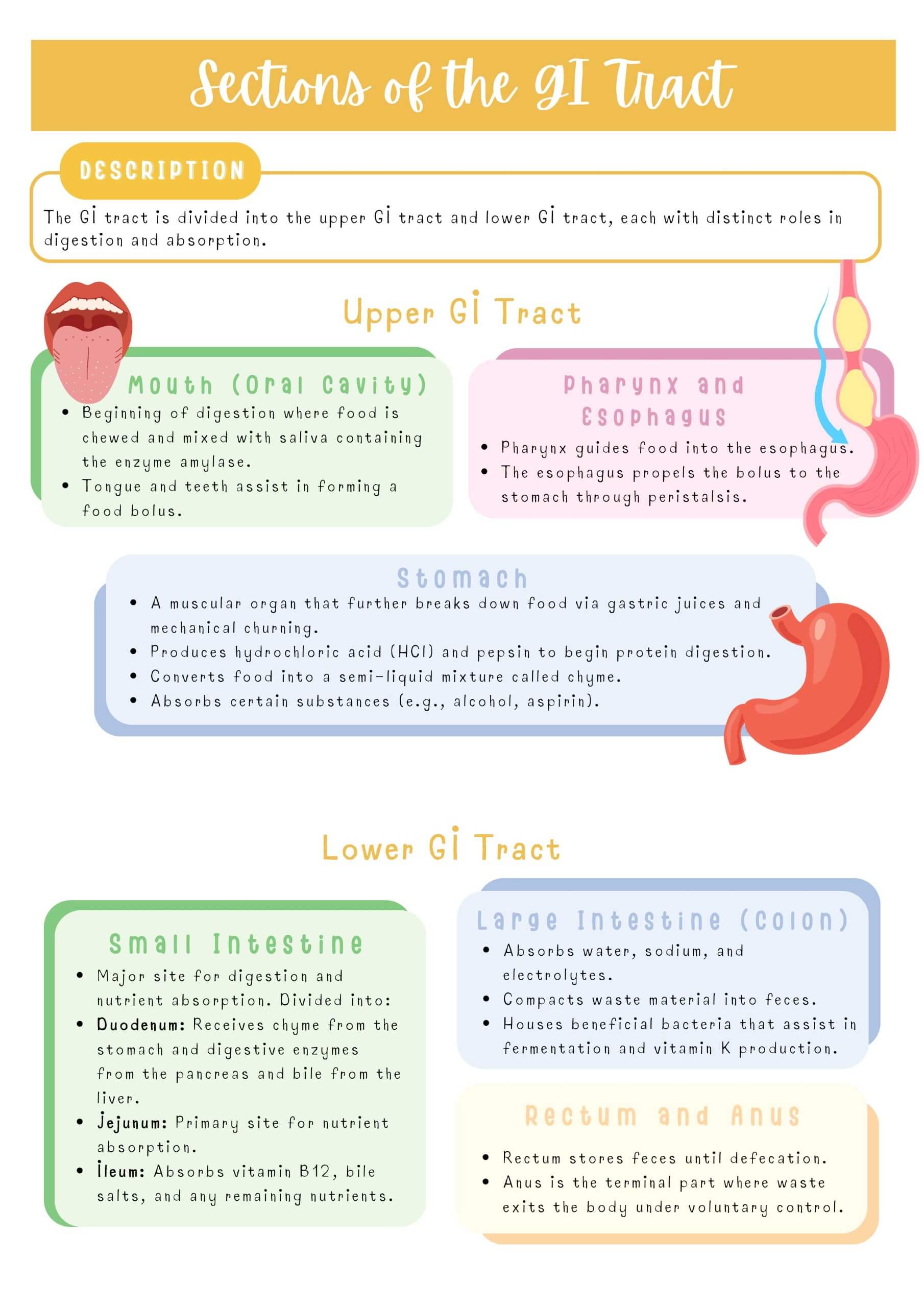 Medical–Surgical Systems Bundle - Image 12