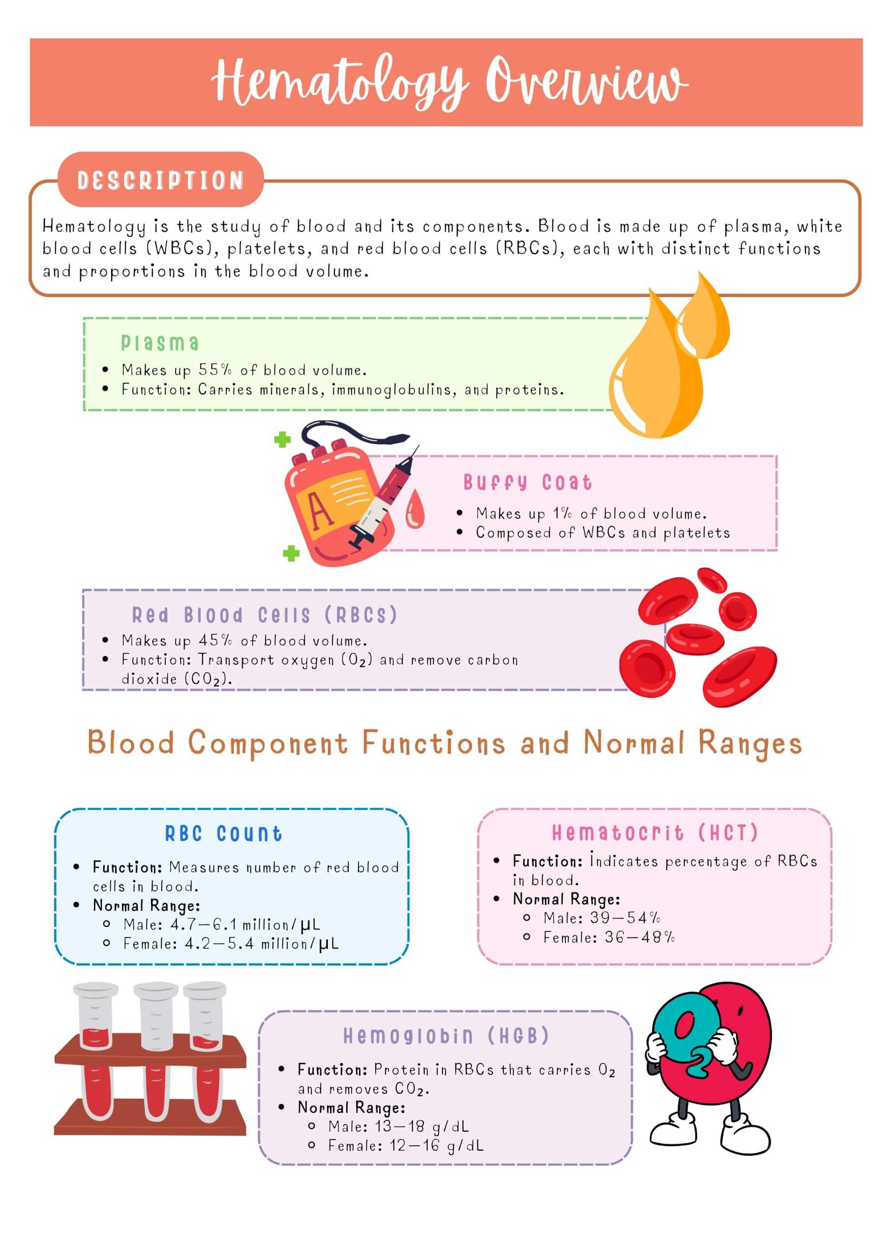 Medical–Surgical Systems Bundle - Image 19
