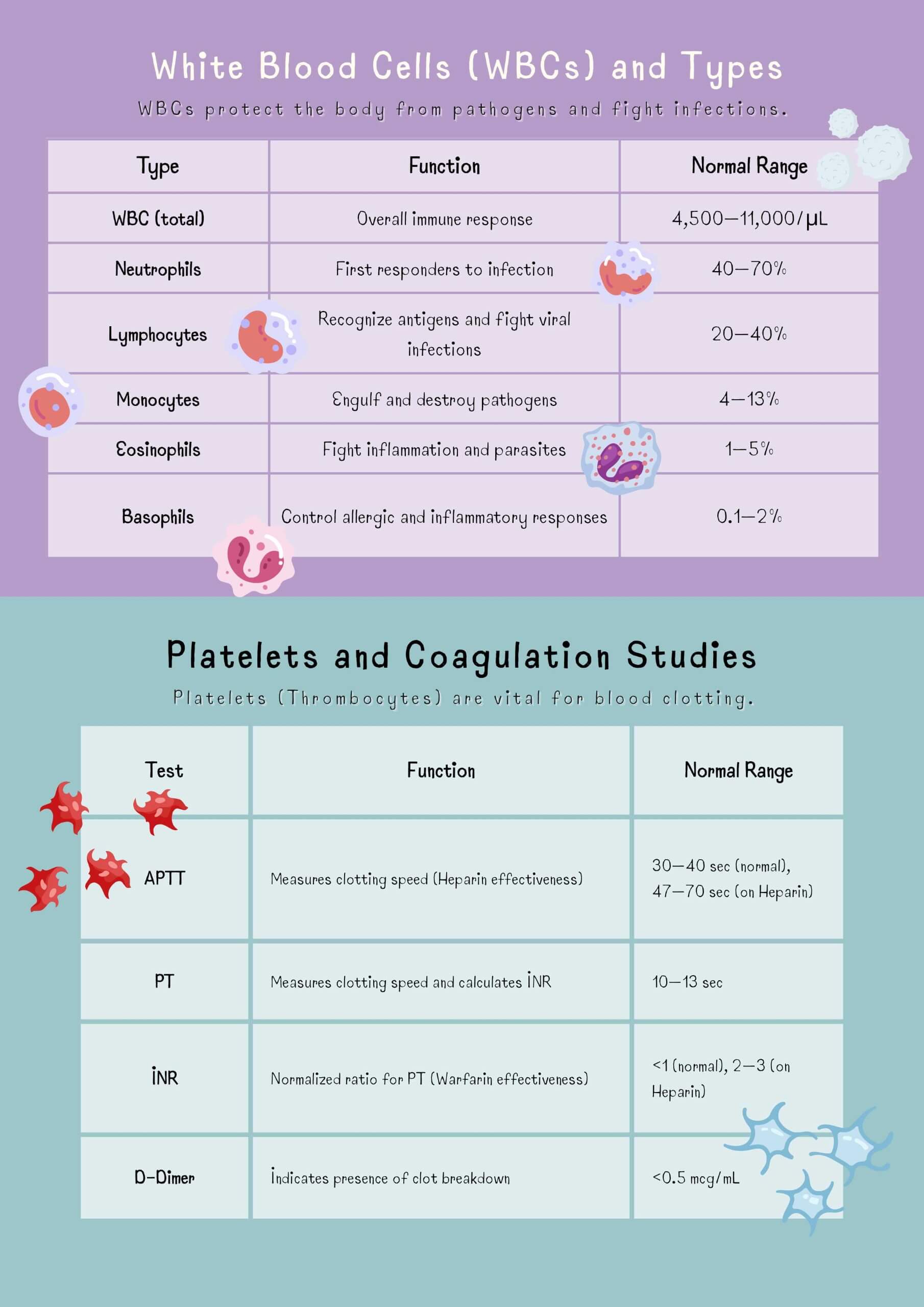 Medical–Surgical Systems Bundle - Image 18