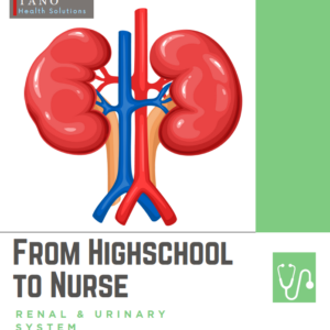 Renal & Urinary System
