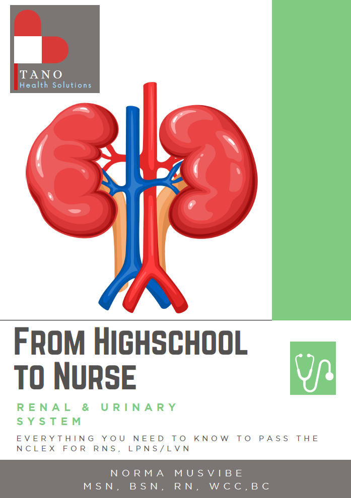 Medical–Surgical Systems Bundle - Image 8